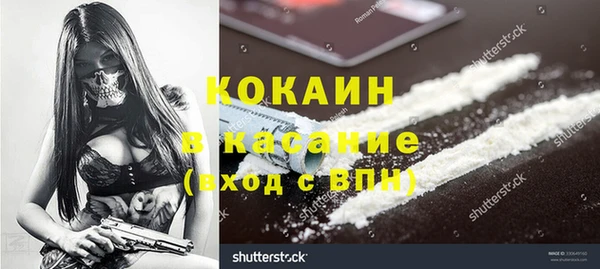 спиды Богданович